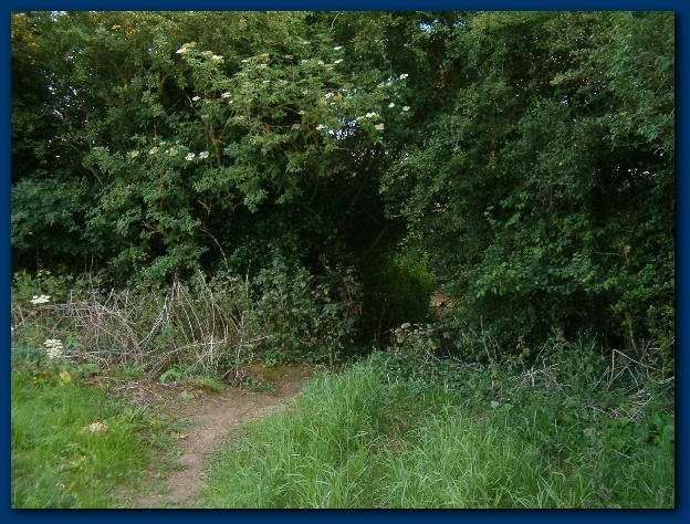 600x449 pixels (187K)